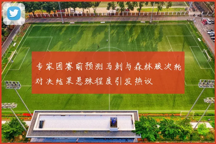 专家团赛前预测马刺与森林狼次轮对决结果悬殊程度引发热议