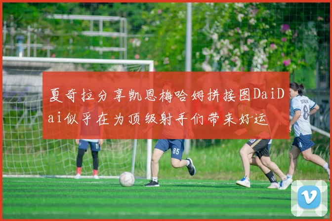 夏奇拉分享凯恩梅哈姆拼接图DaiDai似乎在为顶级射手们带来好运